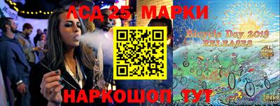альфа пвп Новодвинск