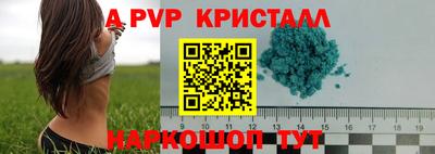альфа пвп Новодвинск