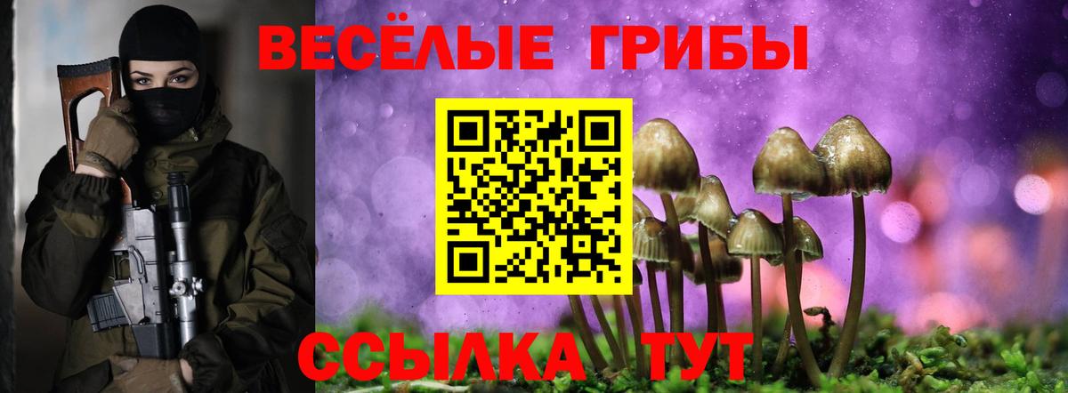 Таганрог  хочу   Вход с VPN  Псилоцибиновые грибы Psilocybe 